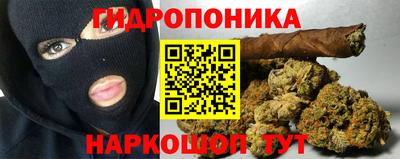 мдпв Гай