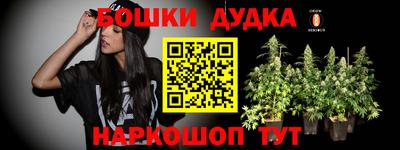 мдпв Гай