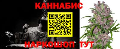 мдпв Гай