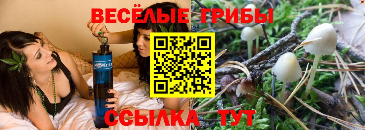 Батайск  Галлюциногенные грибы GOLDEN TEACHER  Вход с VPN 
